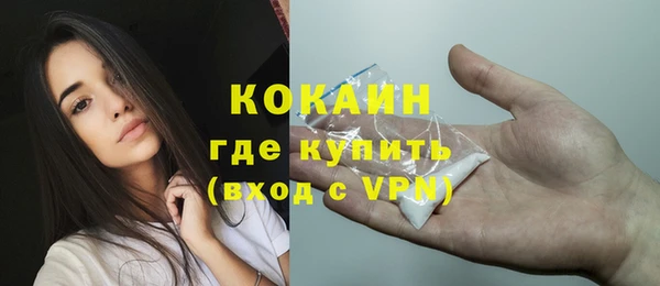 ГАЛЛЮЦИНОГЕННЫЕ ГРИБЫ Вяземский