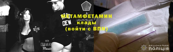 ГАЛЛЮЦИНОГЕННЫЕ ГРИБЫ Вяземский