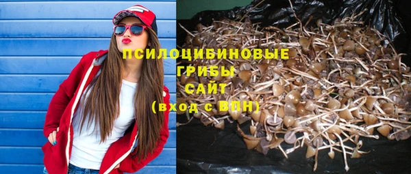 ГАЛЛЮЦИНОГЕННЫЕ ГРИБЫ Вяземский