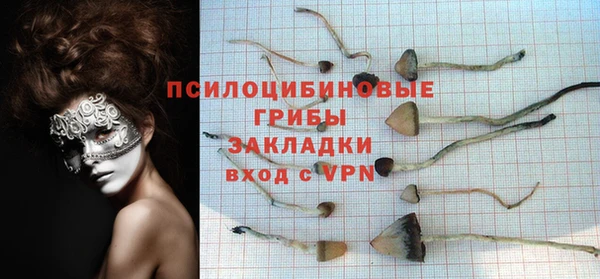 ГАЛЛЮЦИНОГЕННЫЕ ГРИБЫ Вяземский