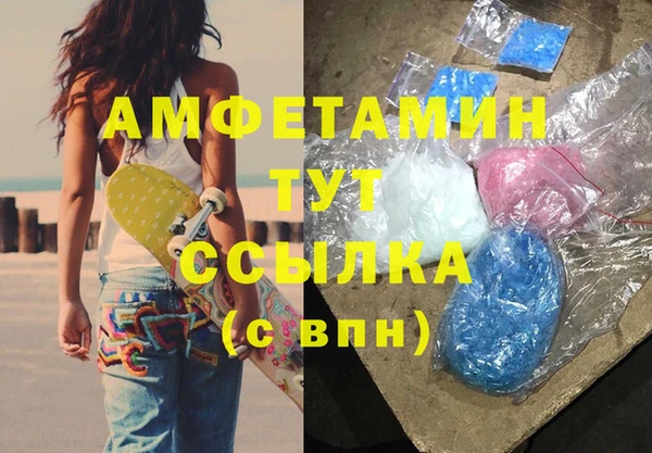ГАЛЛЮЦИНОГЕННЫЕ ГРИБЫ Вяземский