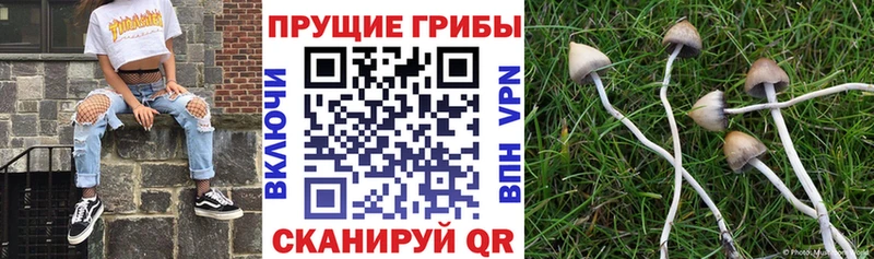Галлюциногенные грибы Magic Shrooms Мелеуз